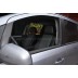 Авточехлы Автопилот для Opel Zafira B в Керчи